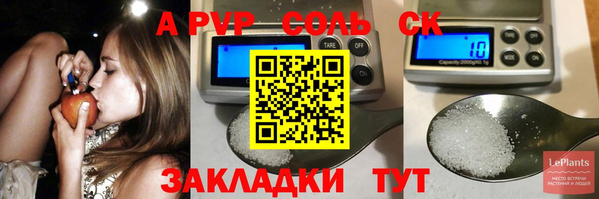 A PVP СК Великий Новгород