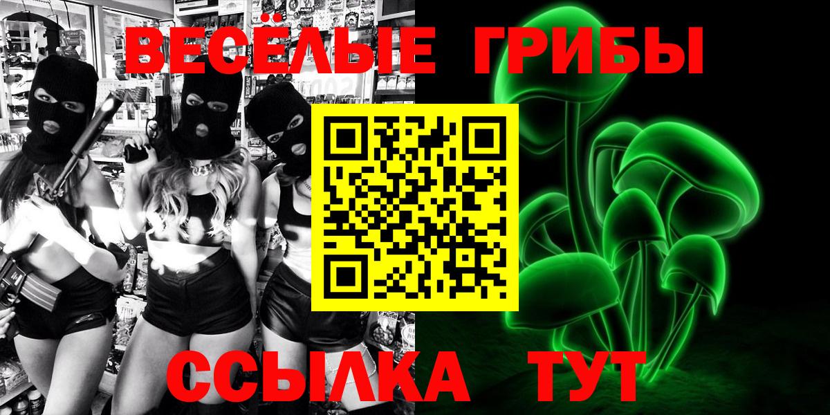 Великий Новгород  Псилоцибиновые грибы мухоморы  Вход с VPN 